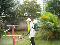 2014年4月30日康凈公司積極參加由南寧市愛衛(wèi)辦組織的服務(wù)全國(guó)體操錦標(biāo)賽主會(huì)場(chǎng)病媒防制工作