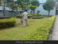 南寧第45屆體操世界錦標(biāo)賽主賽場(chǎng)、訓(xùn)練場(chǎng)病媒生物防制工作